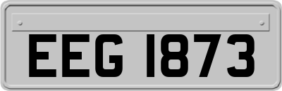 EEG1873