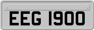EEG1900