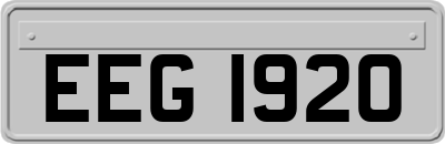 EEG1920