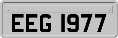 EEG1977