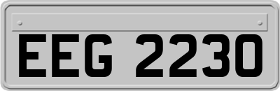 EEG2230