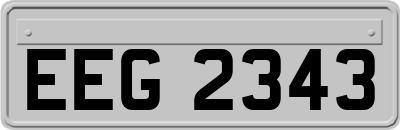 EEG2343