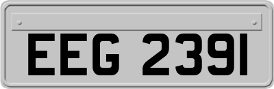 EEG2391