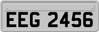 EEG2456