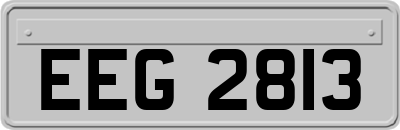 EEG2813