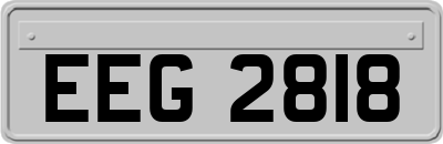 EEG2818