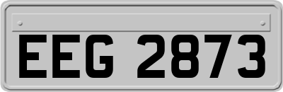 EEG2873