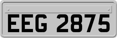 EEG2875