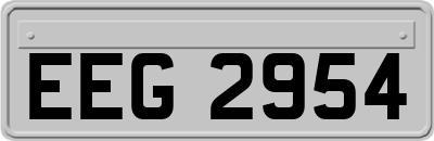 EEG2954