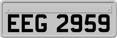 EEG2959