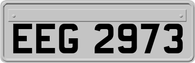 EEG2973