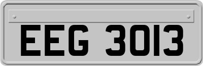 EEG3013