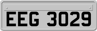 EEG3029