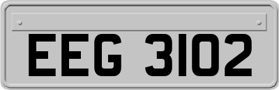 EEG3102
