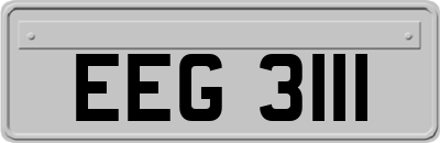 EEG3111
