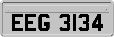 EEG3134