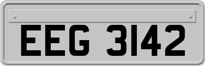 EEG3142