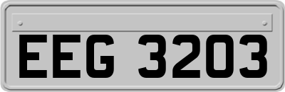 EEG3203