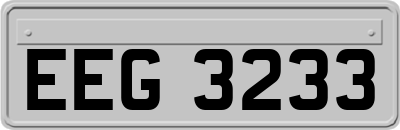 EEG3233