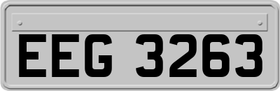 EEG3263