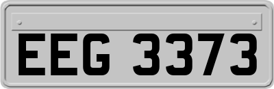 EEG3373