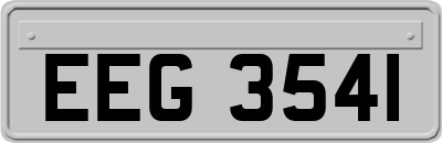 EEG3541