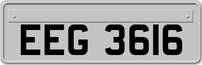 EEG3616