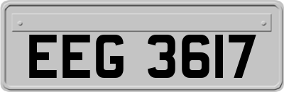 EEG3617