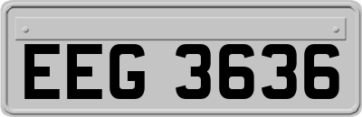 EEG3636