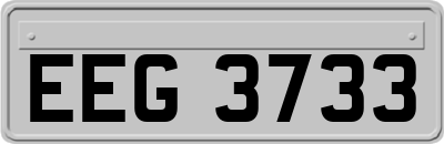 EEG3733