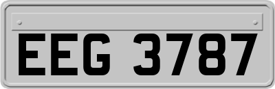 EEG3787