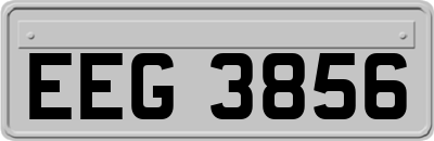 EEG3856