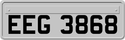 EEG3868