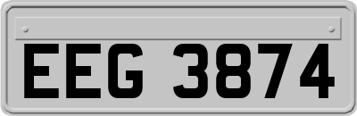 EEG3874