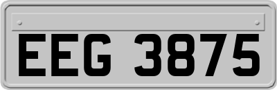 EEG3875