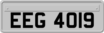 EEG4019