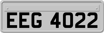 EEG4022