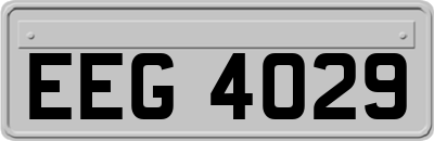EEG4029