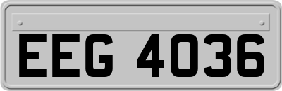 EEG4036