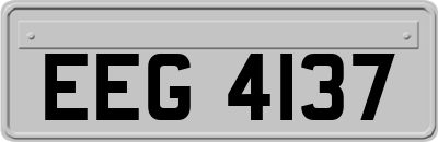 EEG4137