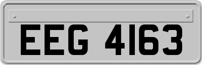 EEG4163