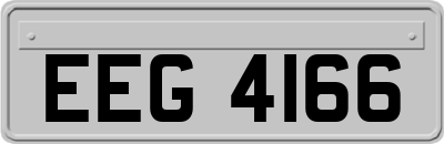 EEG4166