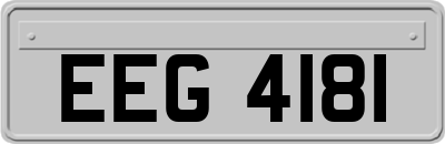 EEG4181