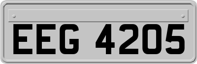 EEG4205