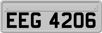 EEG4206