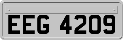 EEG4209