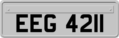 EEG4211