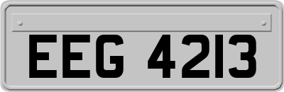 EEG4213