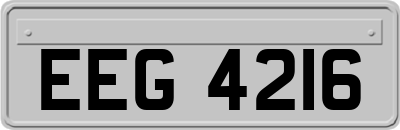 EEG4216
