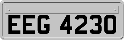 EEG4230